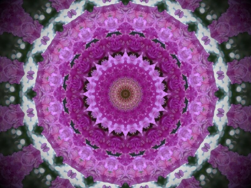 Purple Flower Mandala