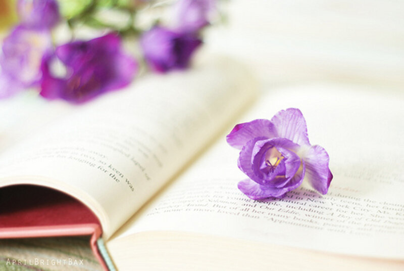Purple Flower on Book — Serene, Photograph