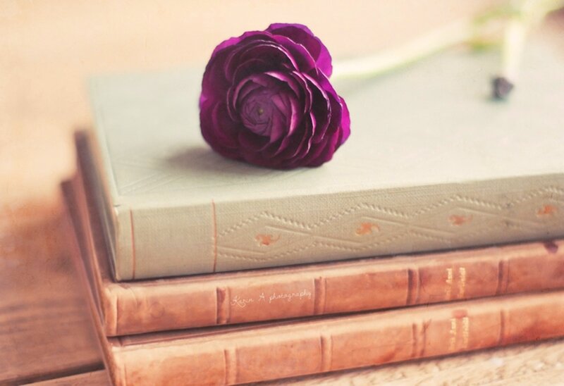 Purple Flower on Books — Calm