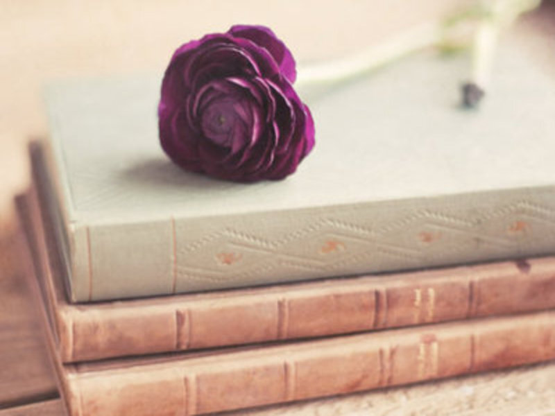 Purple Flower on Books