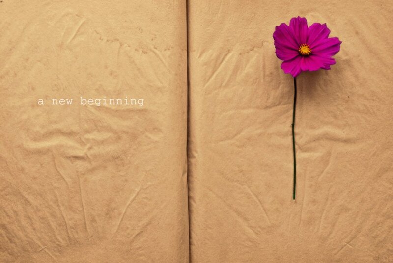Purple Flower on Paper