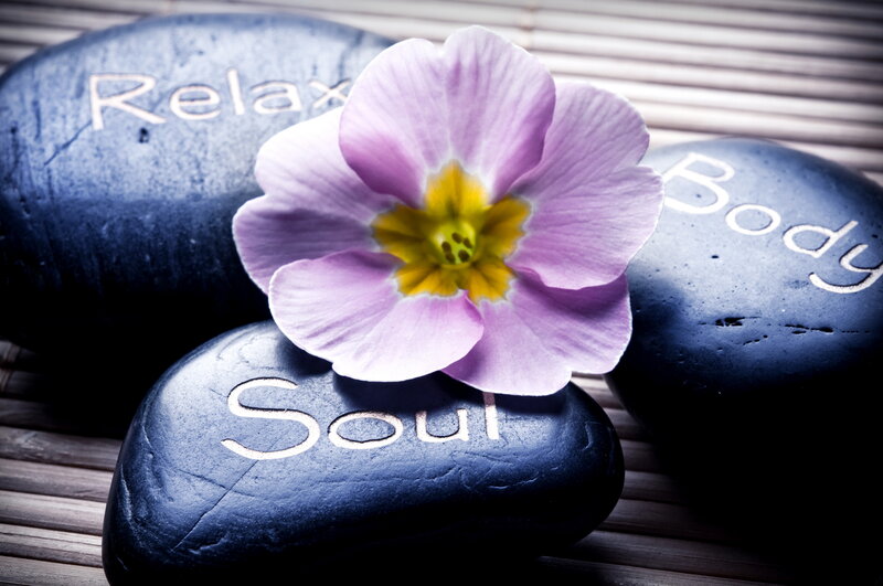 Purple Flower on Stones — Serene