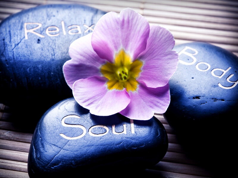 Purple Flower on Stones