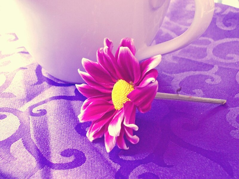 Purple Flower on Table