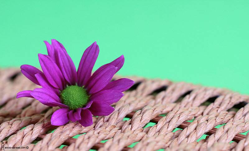 Purple Flower on Woven Mat