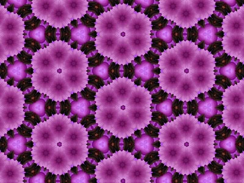 Purple Flower Pattern — Symmetrical