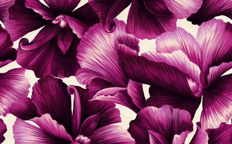 Purple Flower Pattern — Vibrant