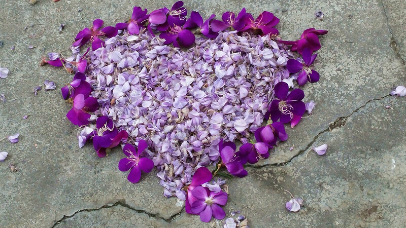 Purple Flower Petals — Calm, Photograph, Stone Ground