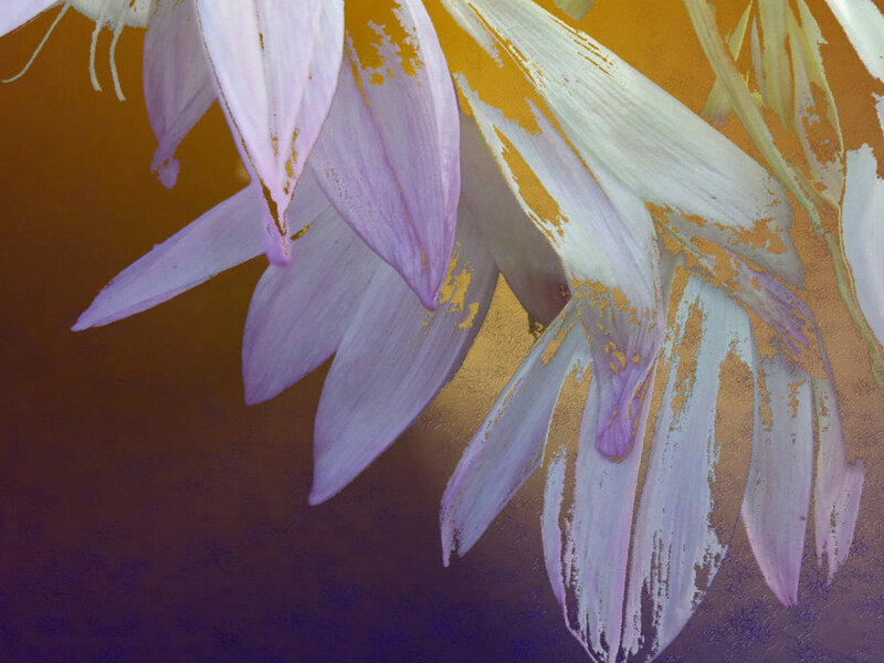 Purple Flower Petals — Dramatic, Painting