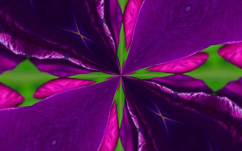 Purple Flower Petals — Symmetrical