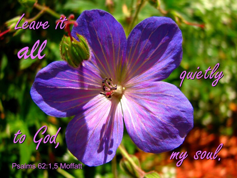 Purple Flower — Serene