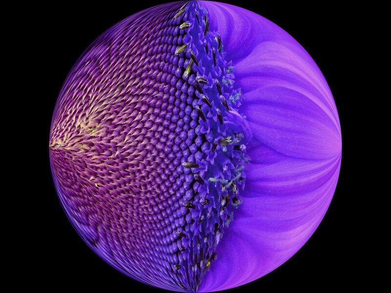 Purple Flower Sphere