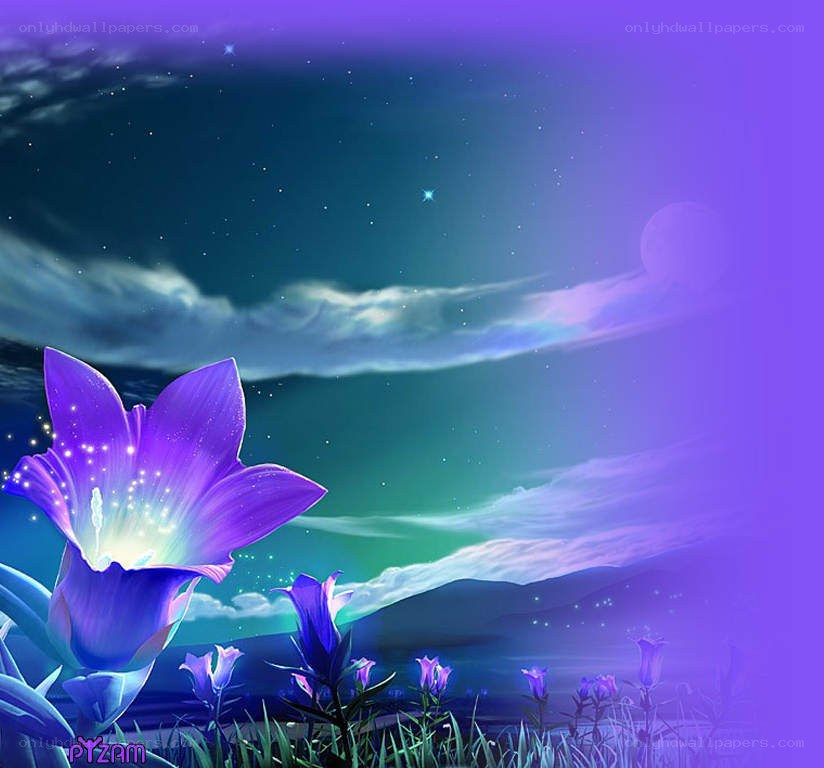 Purple flower under starry sky