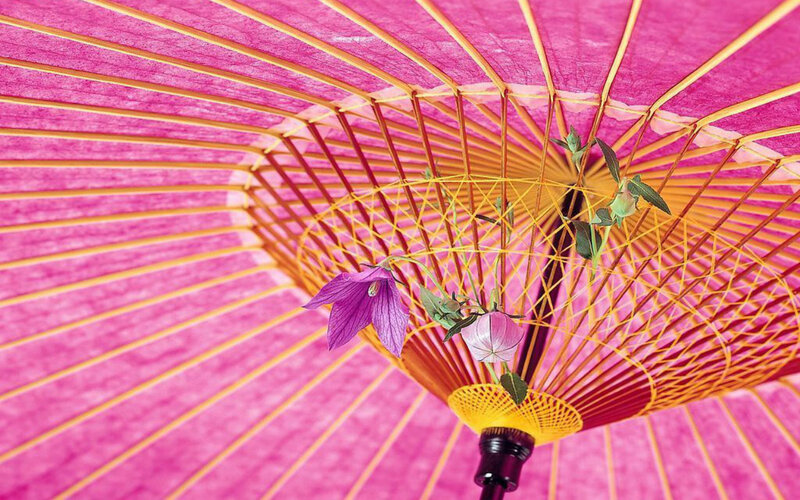 Purple Flower under Umbrella