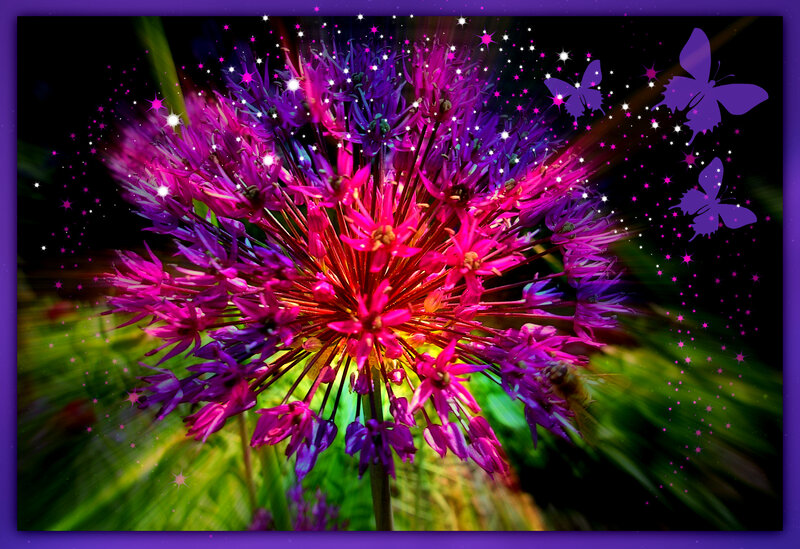 Purple Flower with Butterflies — Magical