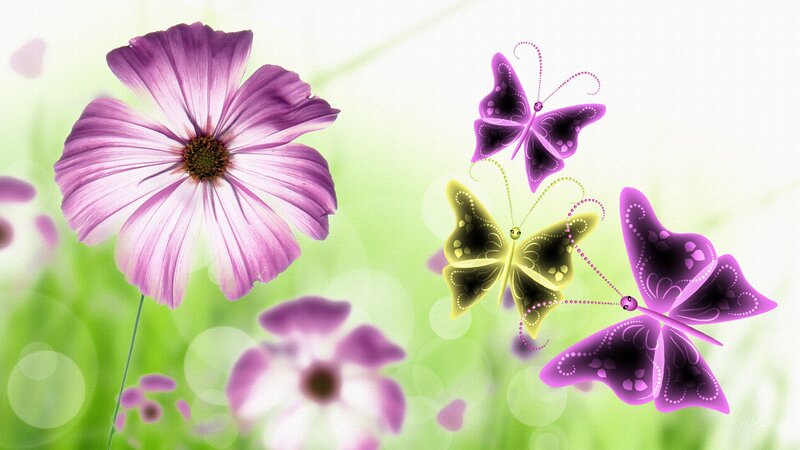 Purple Flower with Butterflies