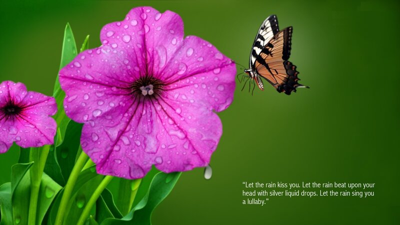 Purple Flower with Butterfly — Pink