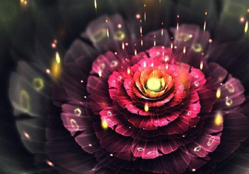 Purple Flower with Glowing Center