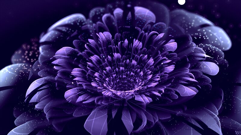 Purple Flower with Glowing Petals — Mystical
