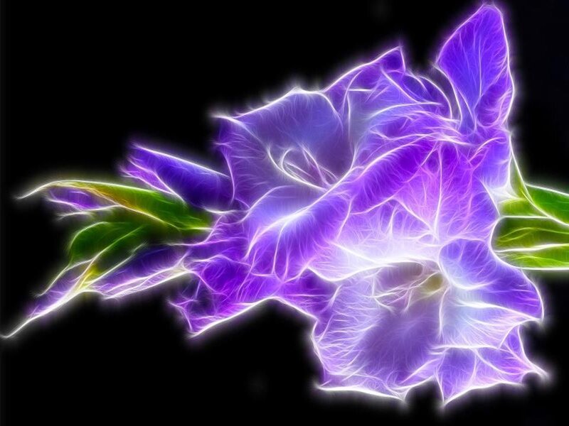 Purple Flower with Green Leaves — Dramatic, Digital Art