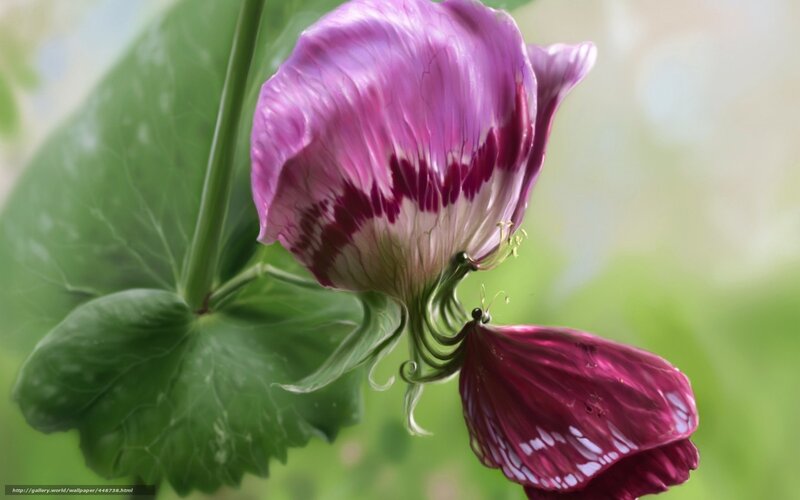 Purple Flower with Green Leaves — Serene, Spring, Digital Art