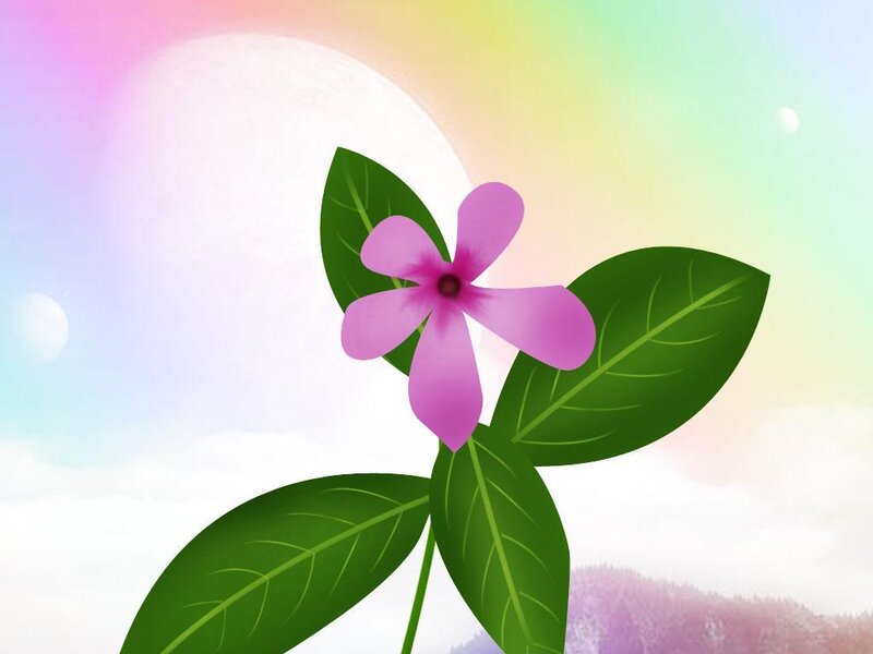 Purple Flower with Green Leaves — Serene, Sunset