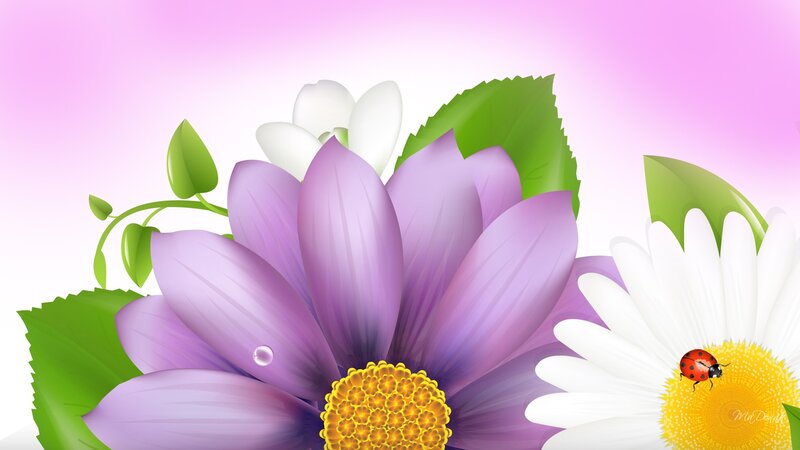 Purple Flower with Ladybug — Serene
