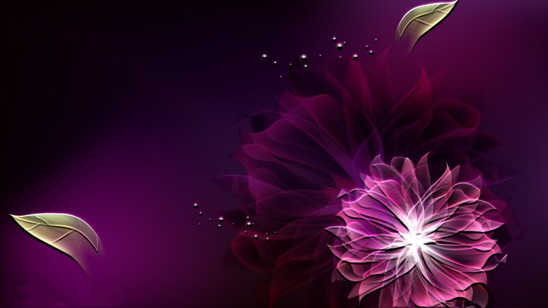 Purple Flower with Leaves — Dramatic