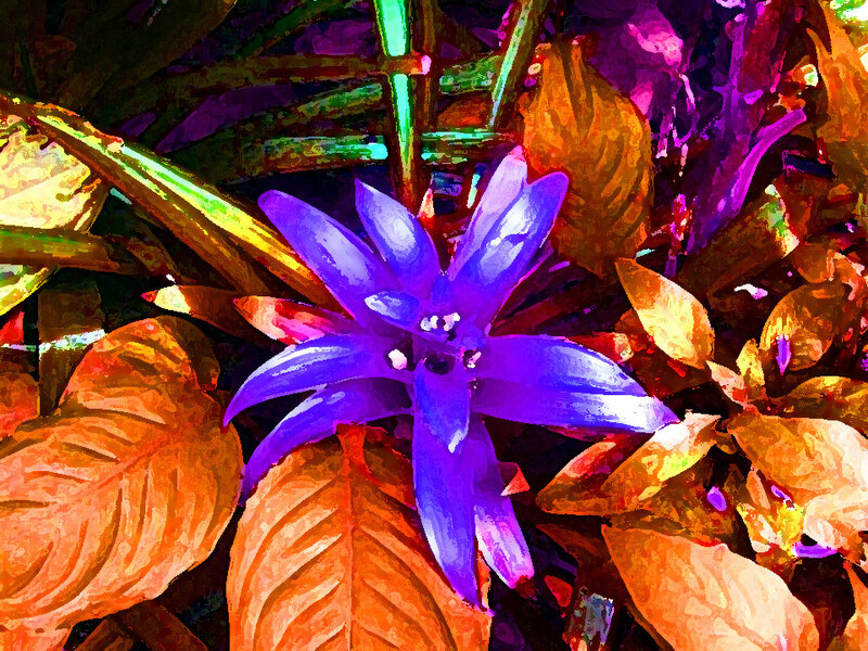 Purple Flower with Leaves