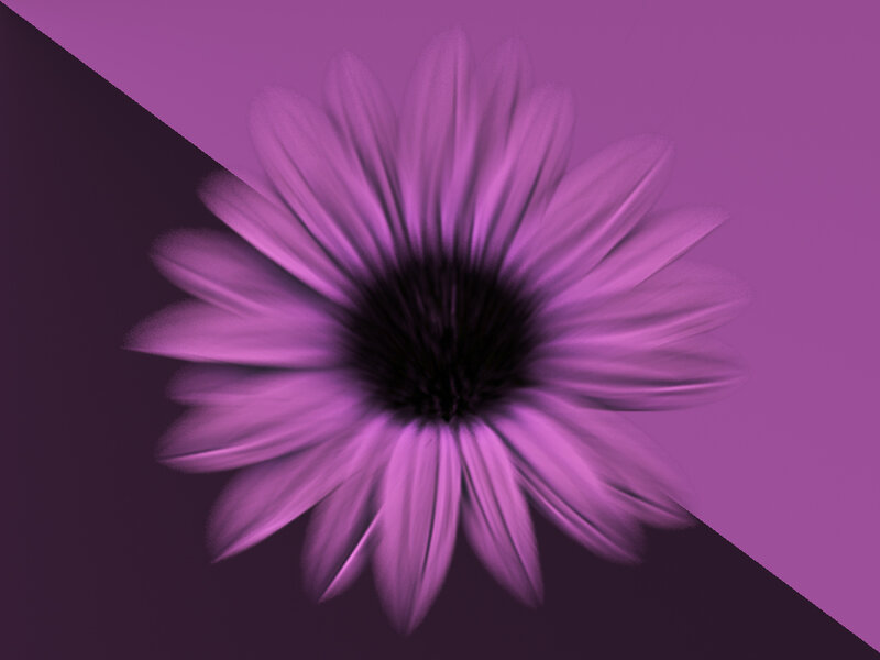 Purple Flower with Motion Blur