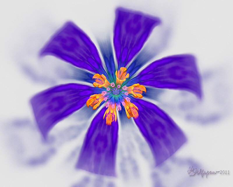Purple Flower with Orange Center