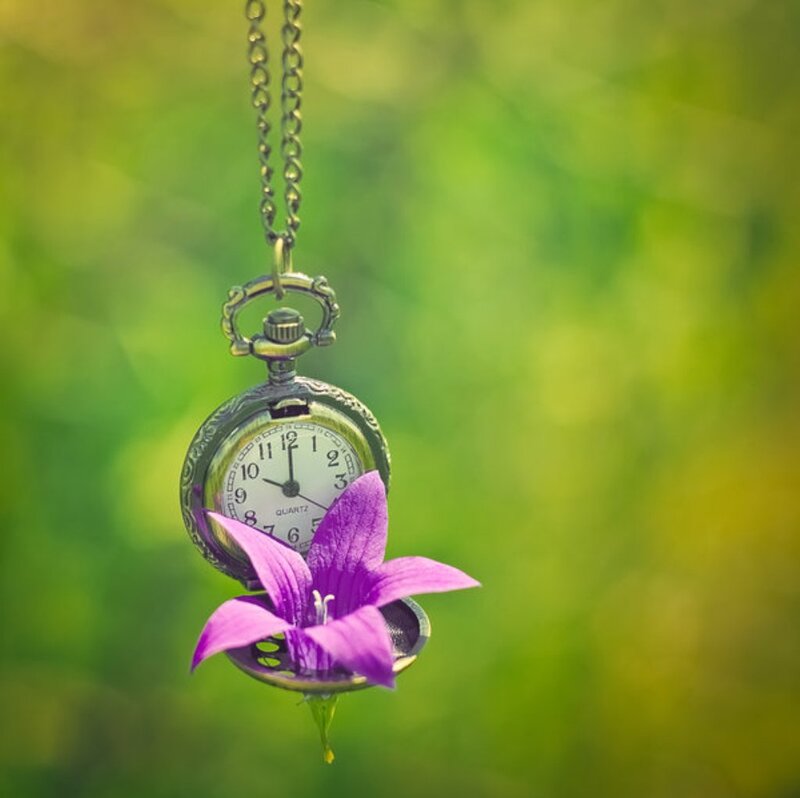 Purple Flower with Pocket Watch