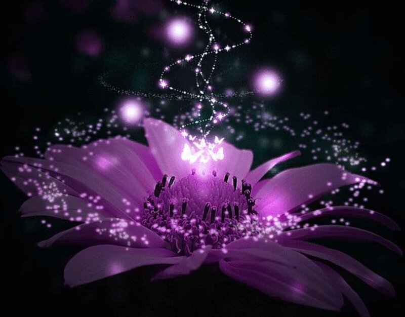 Purple Flower with Sparkles