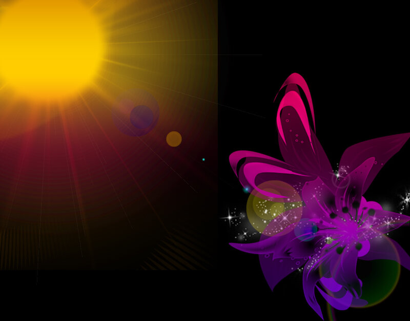 Purple Flower with Sun