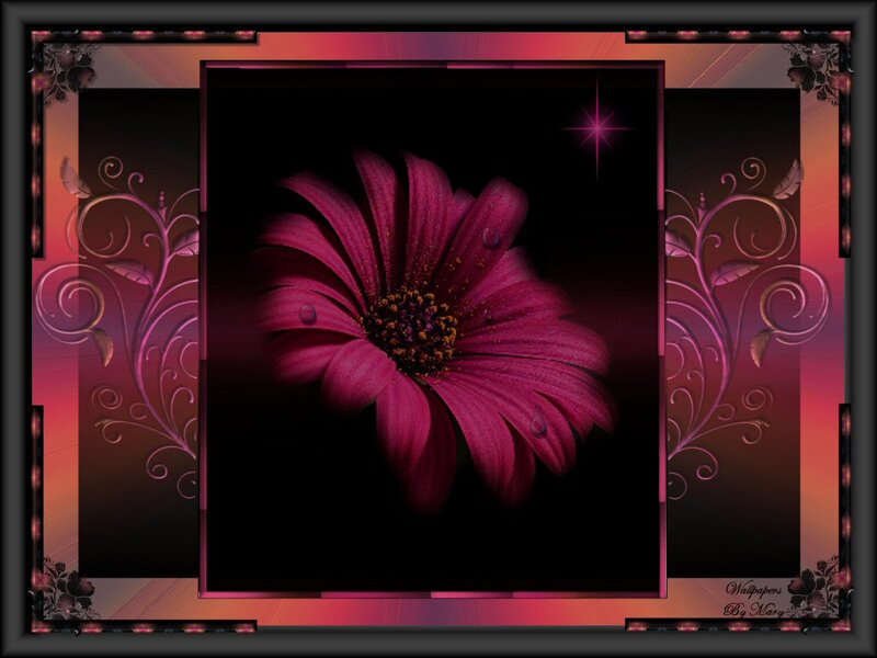 Purple Flower with Water Droplets — Dramatic, Digital Art