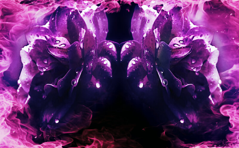 Purple Flower with Water Droplets — Dramatic, Digital Art, Water Droplets