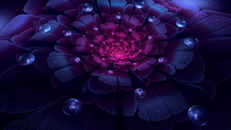 Purple Flower with Water Droplets — Mystical