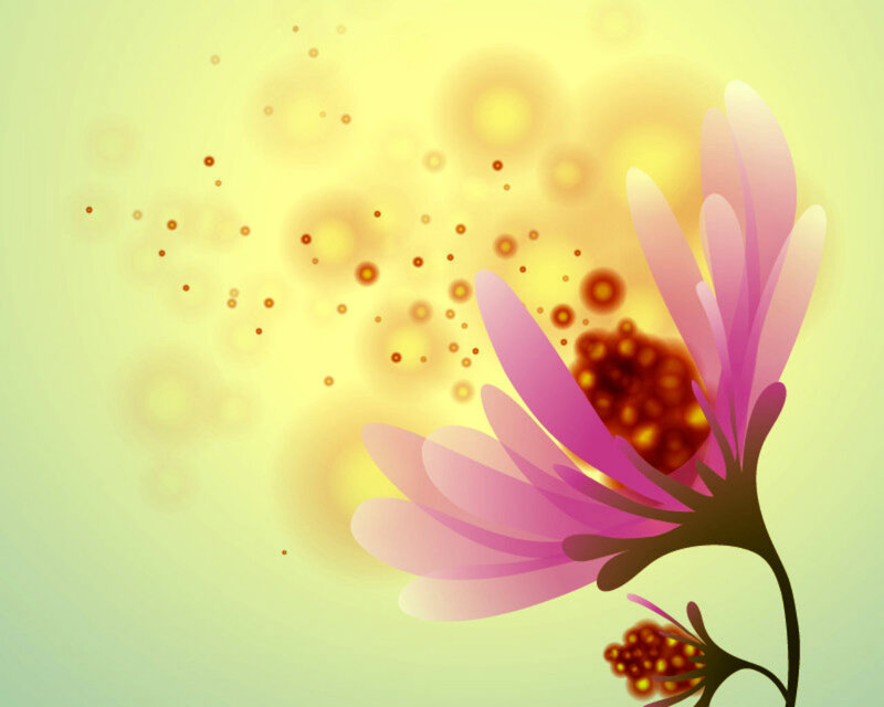 Purple Flower with Yellow Background