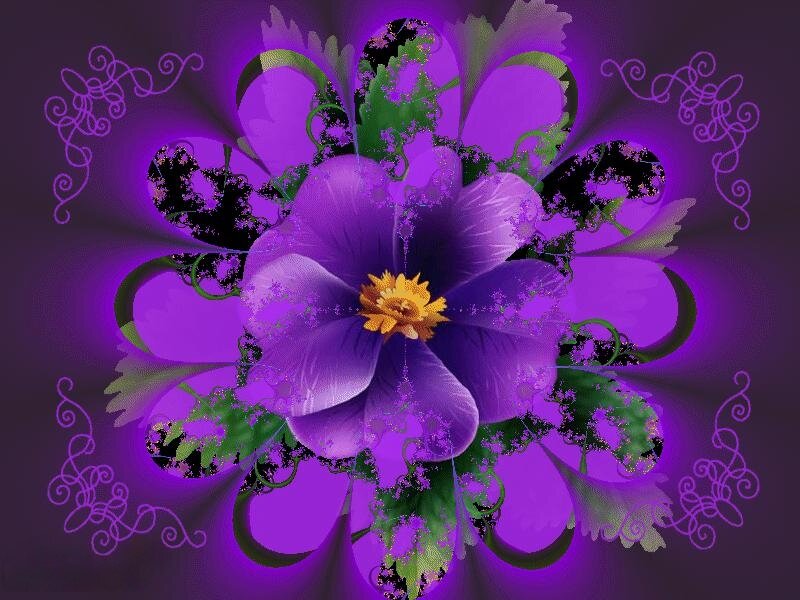 Purple Flower with Yellow Center — Vibrant, Digital Art
