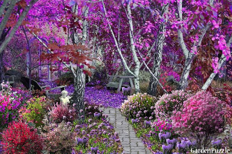 Purple-flowered Garden — Purple