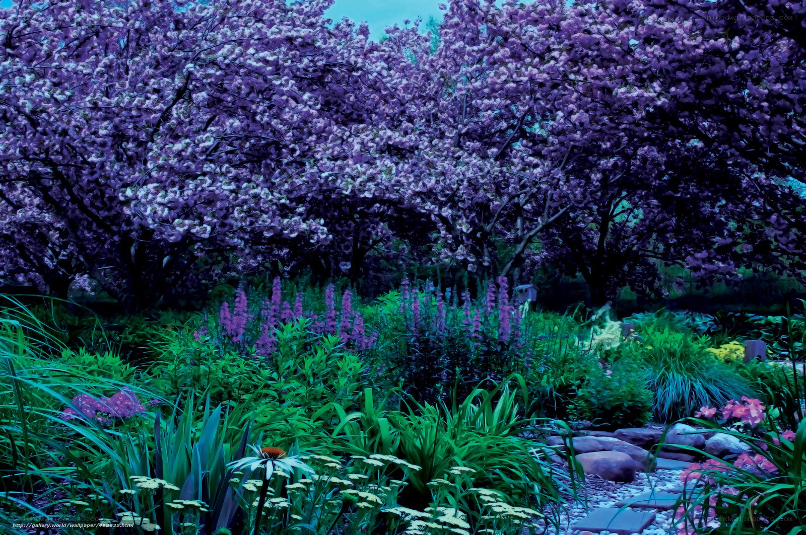 Purple-flowered garden scene
