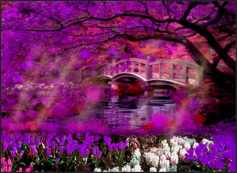 Purple-flowered Garden