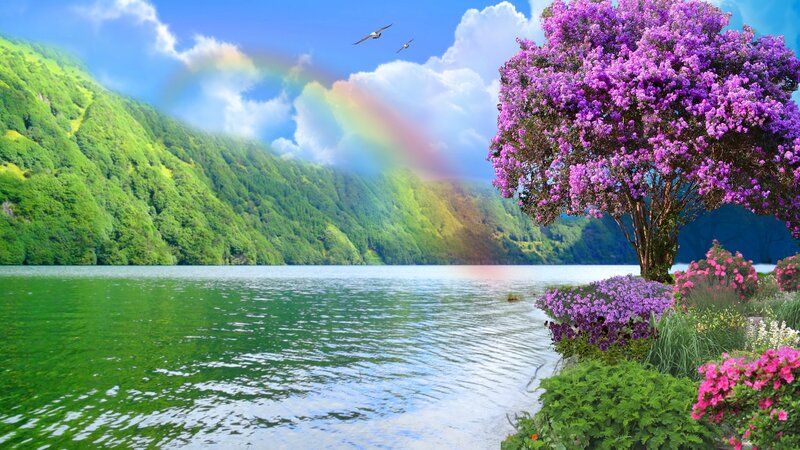 Purple-flowered Tree by Lake