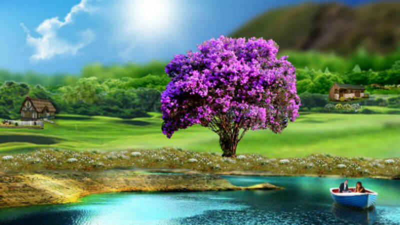 Purple-flowered Tree — Green, Serene