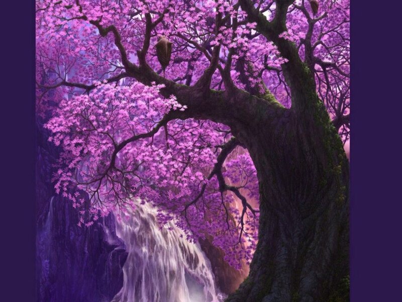 Purple-flowered Tree — Purple, Serene, Night