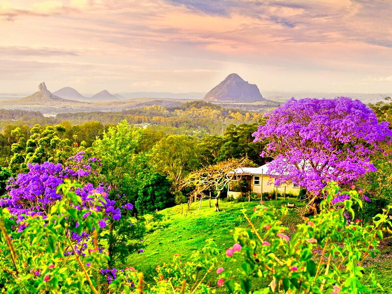 Purple-flowered Trees — Green, Serene, Sunset