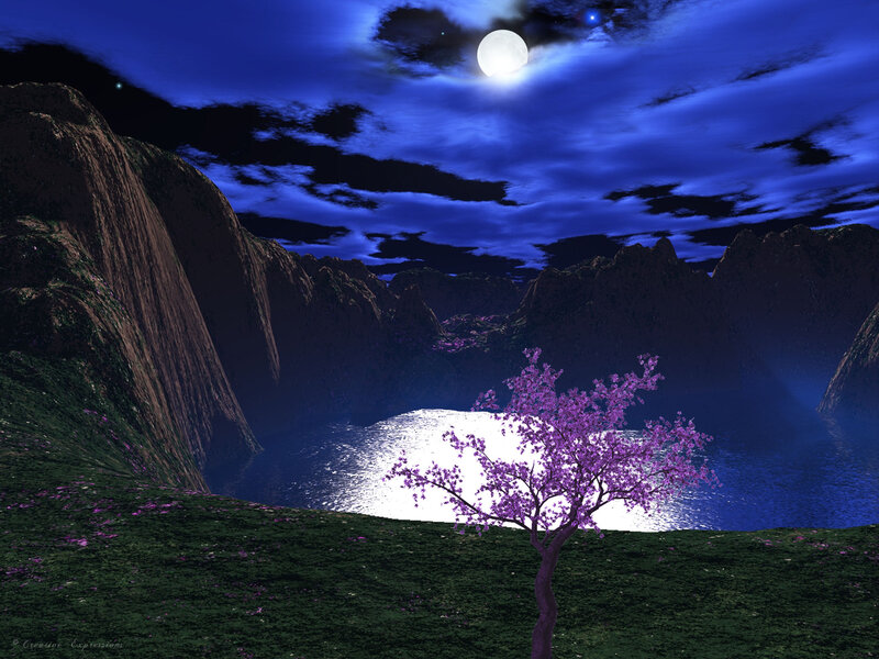Purple Flowering Tree — Blue