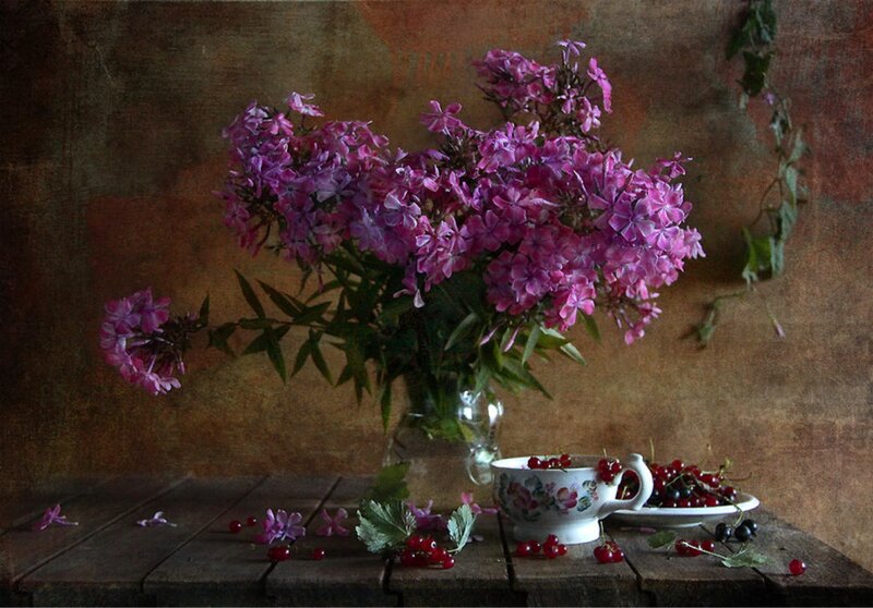Purple Flowers and Berries — Calm