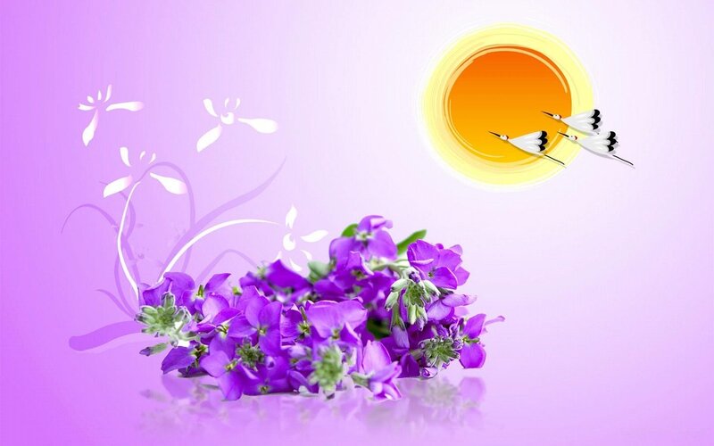 Purple Flowers and Birds — Serene