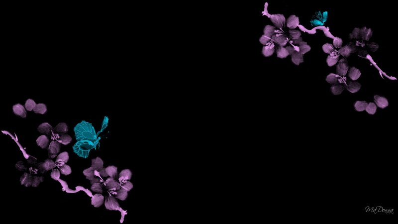 purple flowers and blue butterflies